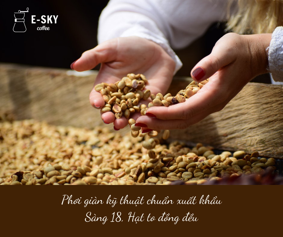 Cà Phê Rang Xay Nguyên Chất Espresso E-sky Coffee Cafe Pha Máy 250g-500g