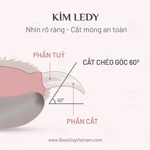 Kìm căt móng cho chó mèo có đèn LED - Đèn chiếu Tủy