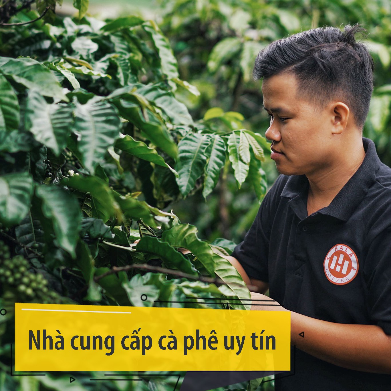 Cà phê pha Espresso Arabica Hala Coffee 500gr