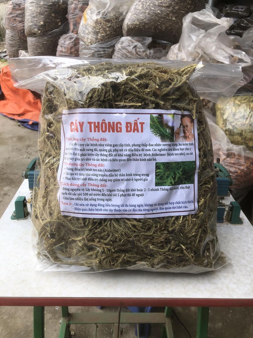 Cây thông đất khô 1kg