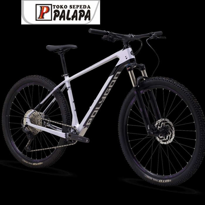 2021 Polygon Sepeda Polygon Syncline C2 MTB 29 Polygon Syncline C2