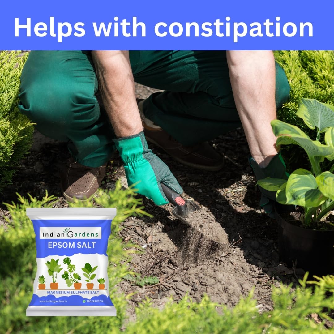 Epsom%20Salt%20Fertilizer%20For%20Plants%20-%201%20Kg%20-%20Image%204