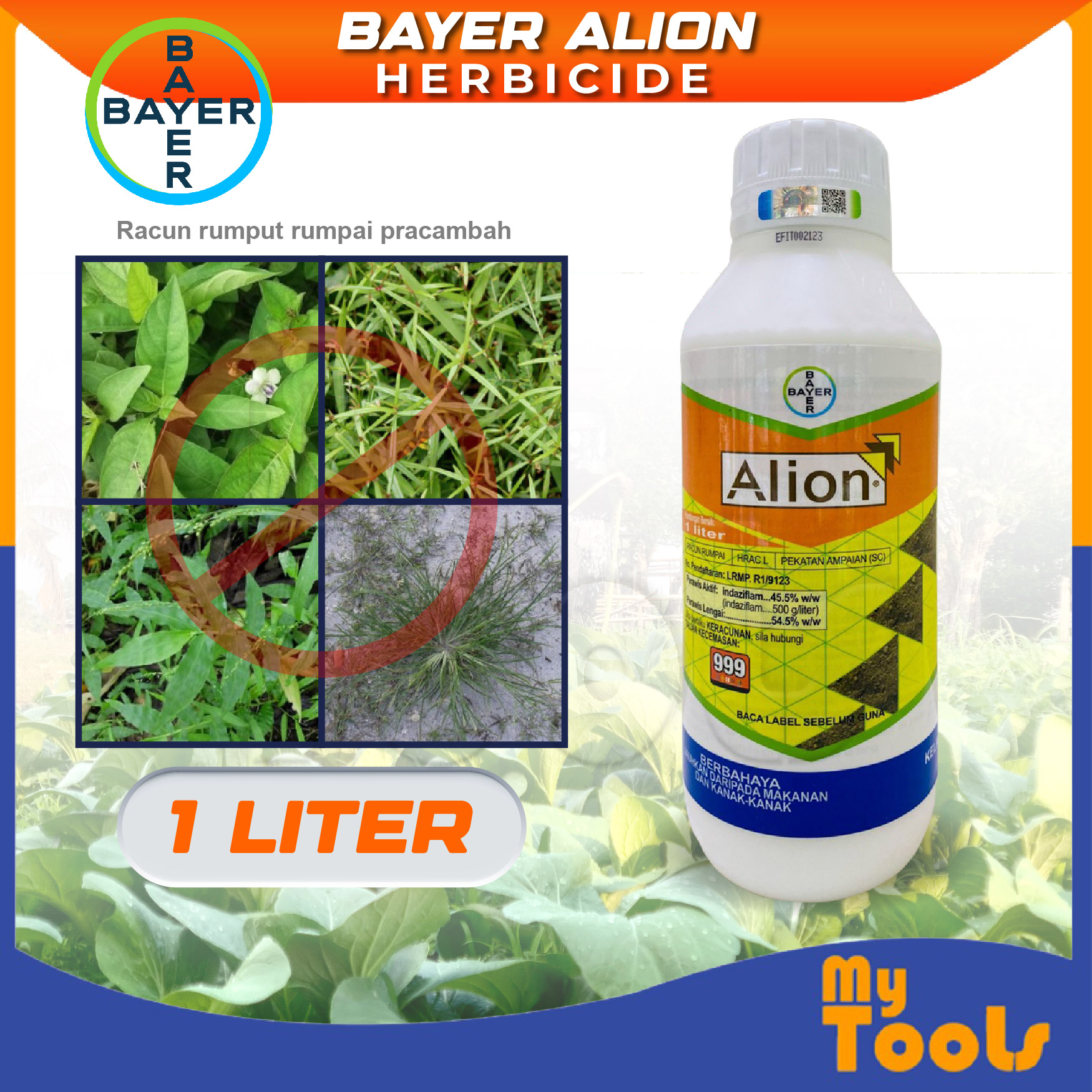 where can i buy the aloe vera plant Aloe Vera Plant Nursery 4