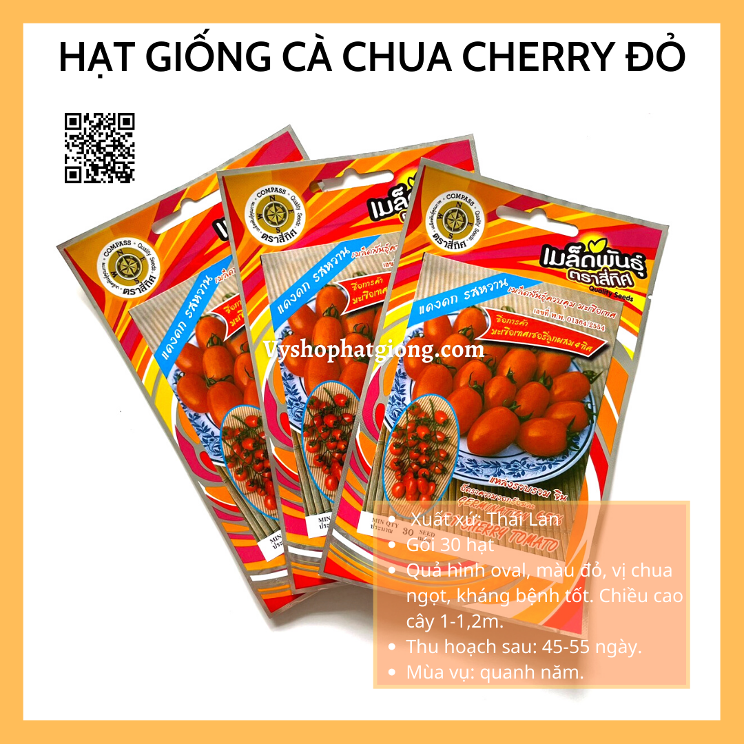 Hạt giống cà chua cherry đỏ Thái Lan