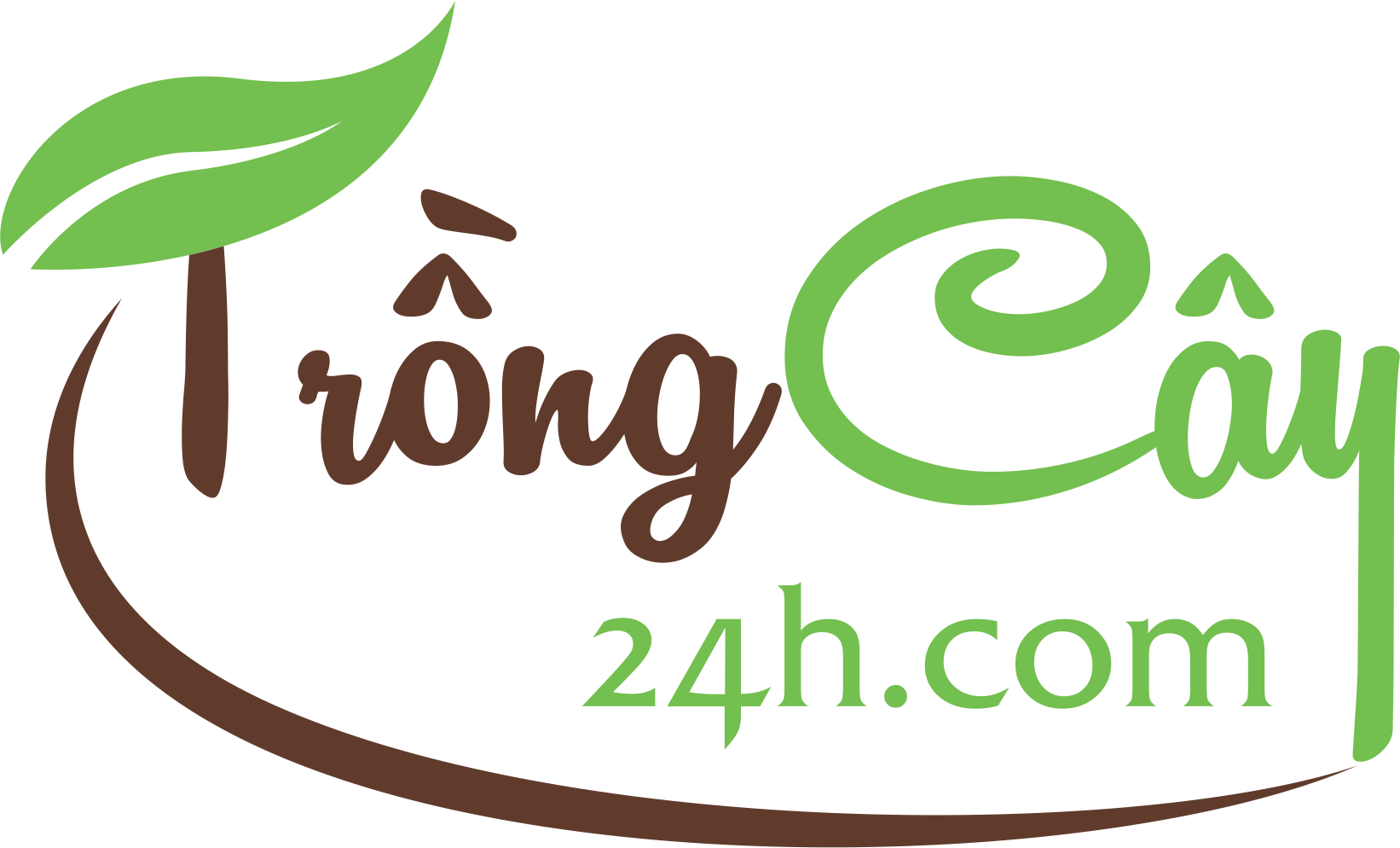 ĐẠM CÁ HỮU CƠ (DỊCH CÁ) SAGIKO BO 1L