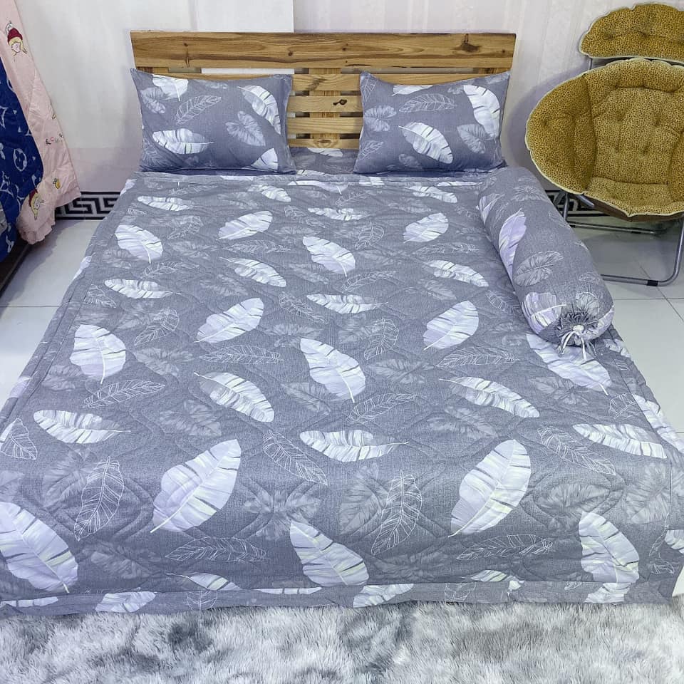 Bộ drap thun hàn quốc 4 món mẫu lá