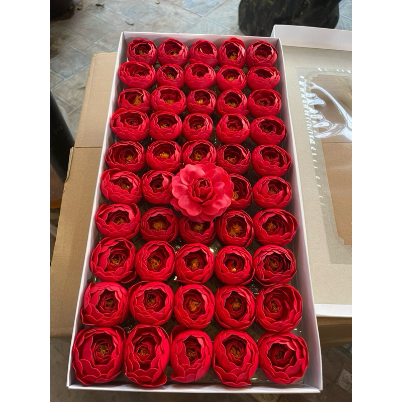 HOA SÁP MAO LƯƠNG”hoa trà”( hộp 50 bông)