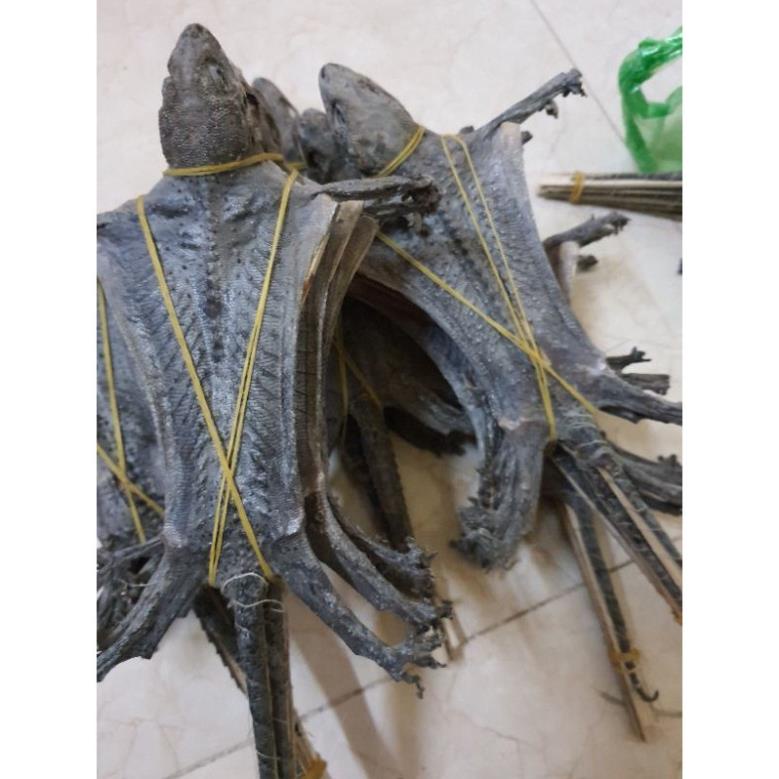 tắc kè khô nguyên con
