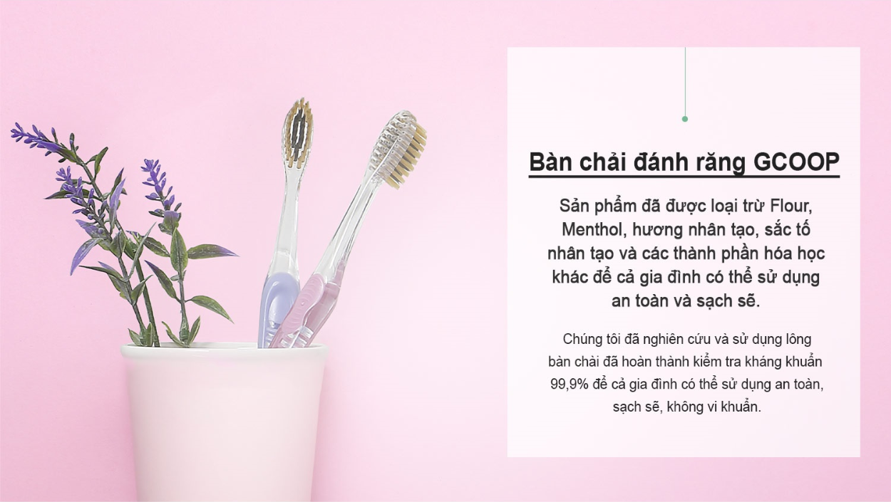 Bàn chải đánh răng GCOOP set 4ch sp Hàn Quốc