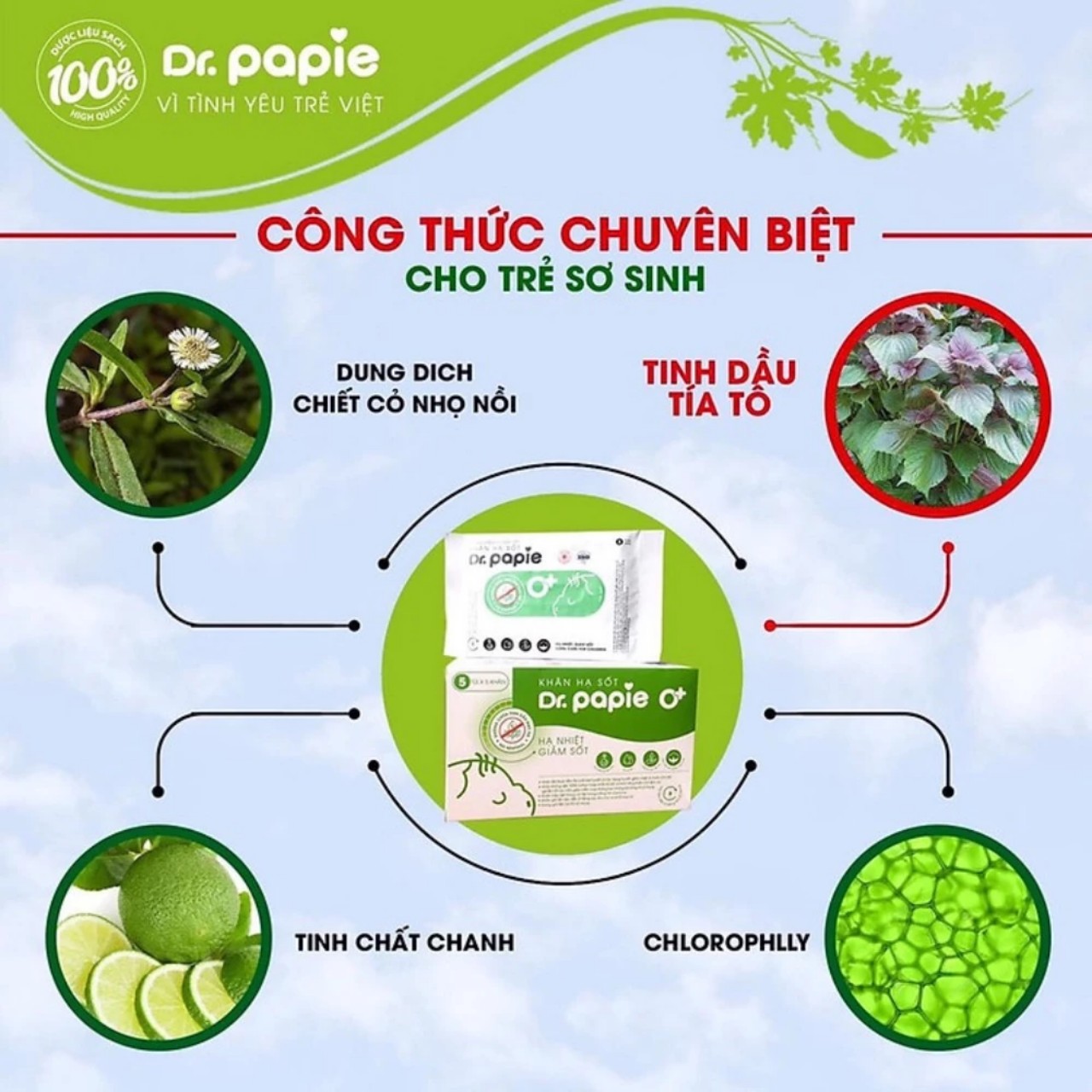 Khăn lau hạ nhiệt DR PAPIE