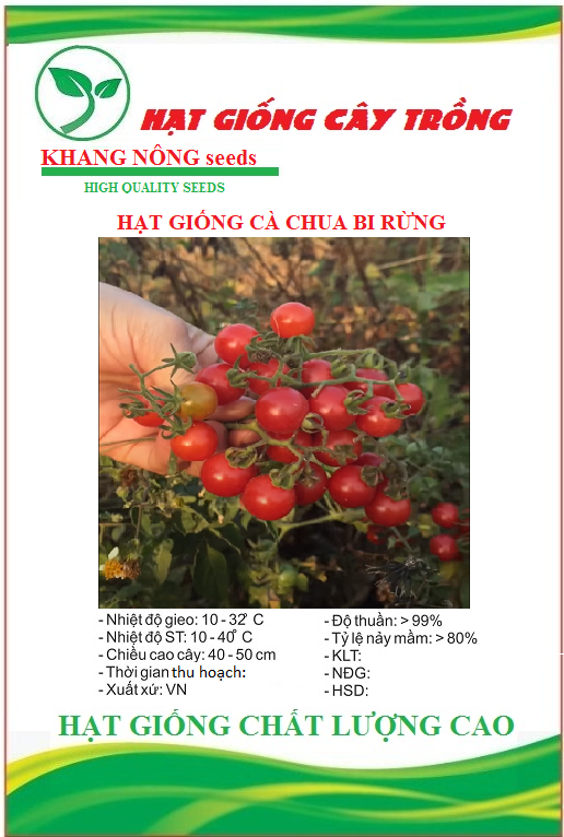Hạt giống cà chua bi rừng - Gói 20 hạt