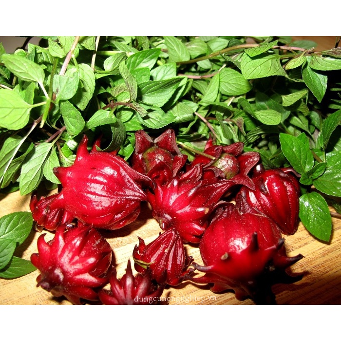 Keo dán chuột Đại Phát 140gr DỄ SỬ DỤNG (Keo bẫy chuột)