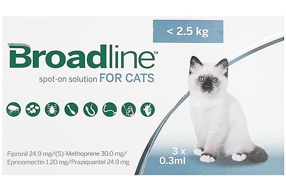 Broadline Spot On Lösung Für Katzen Kaufen www.lazada.com.ph