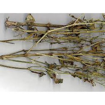 lá xuyên tâm liên khô 1kg