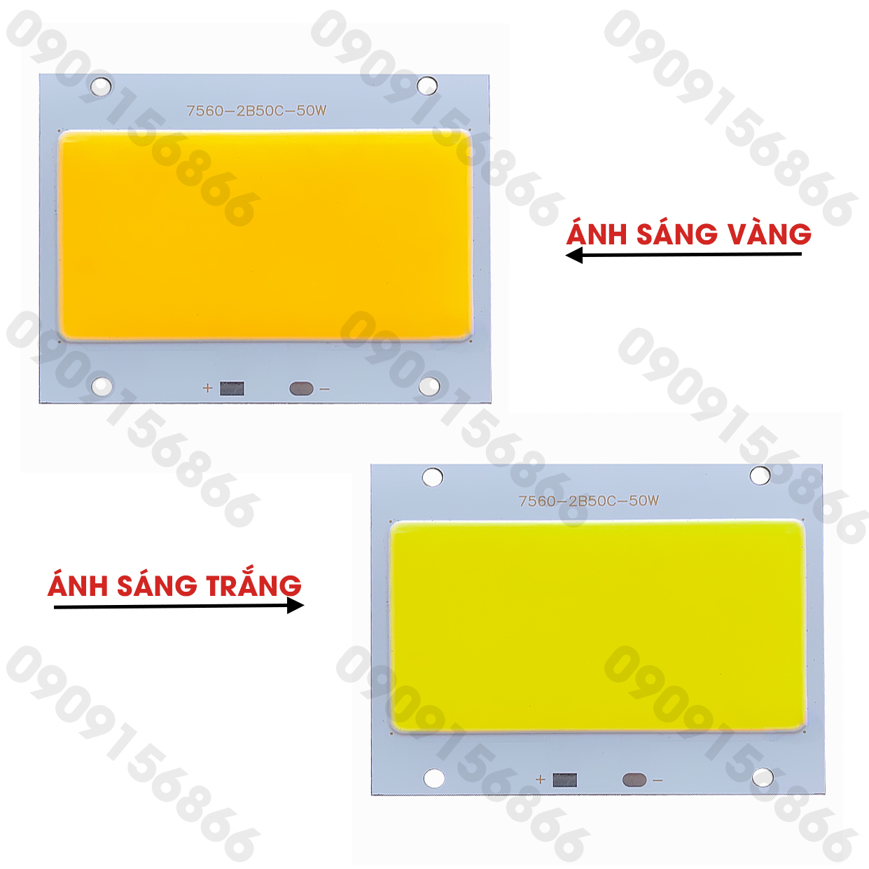Mắt led pha Cob 50w