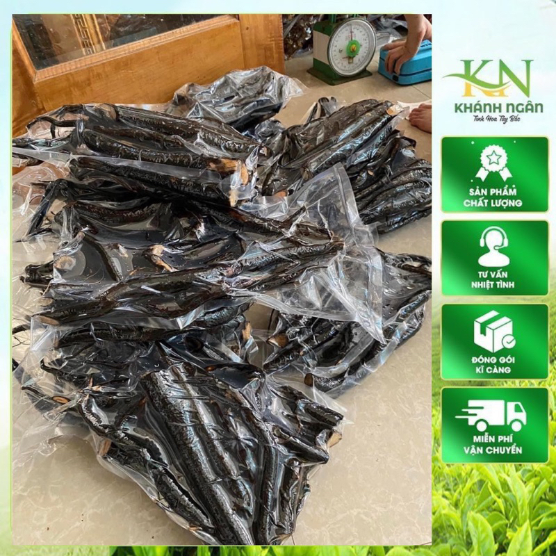 Sâm Béo Đen tươi, khô (Sâm Bảo Ngọc, Sâm Một Rễ, Sâm Đất) 1kg Hút Chân Không