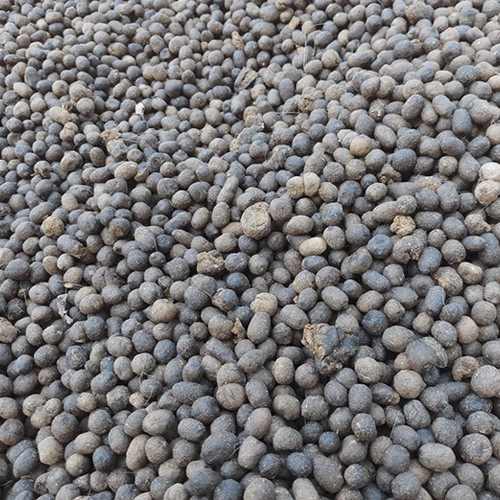 Phân Dê Nguyên Chất 100% Đã Qua Xử Lý Men Trichoderma Túi 1KG