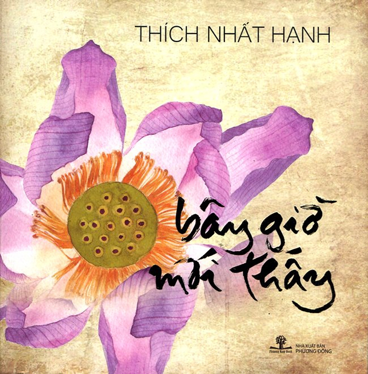Kho sách cũ - bây giờ mới thấy