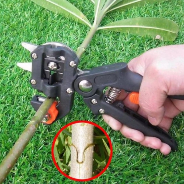 Kéo chiết cắt ghép cành cây đa năng- Kiềm Cắt Ghép Chuyên Dụng