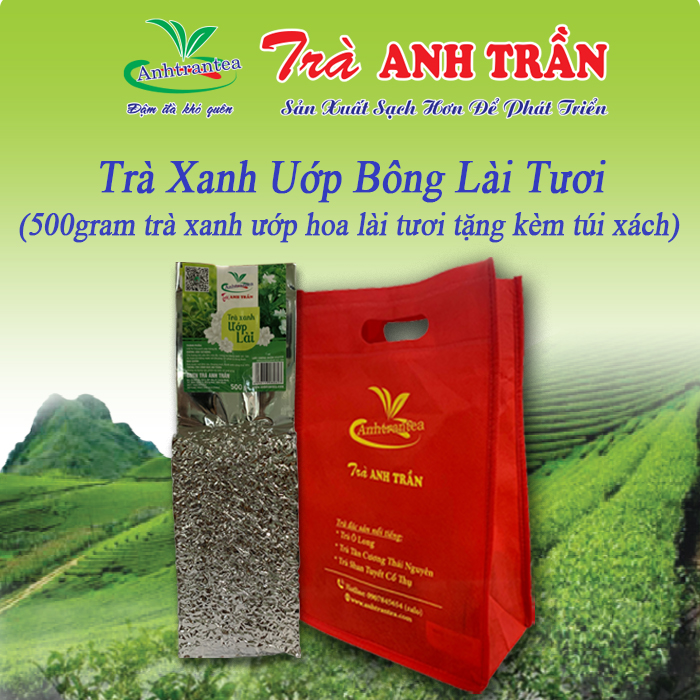 [TRÀ HOA LÀI] Trà xanh Ướp bông lài tươi 500g