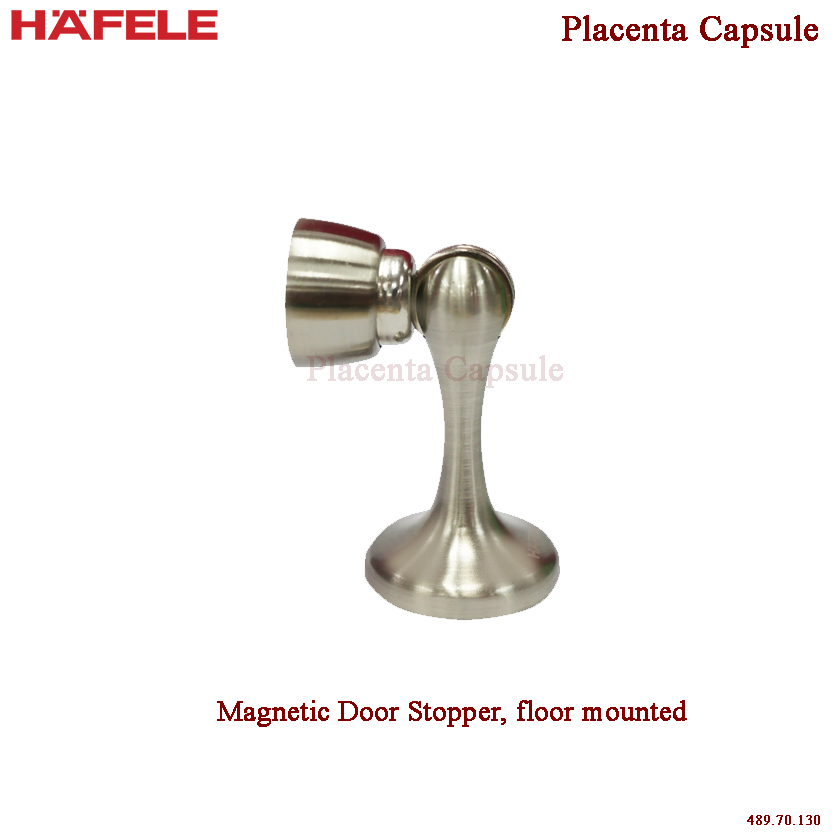 Hafele Door Stopper, floor mounted Lazada PH