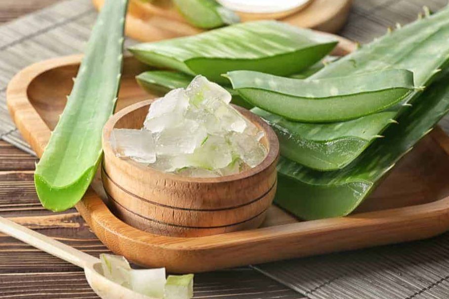 Lá Nha Đam Tươi 2Kg