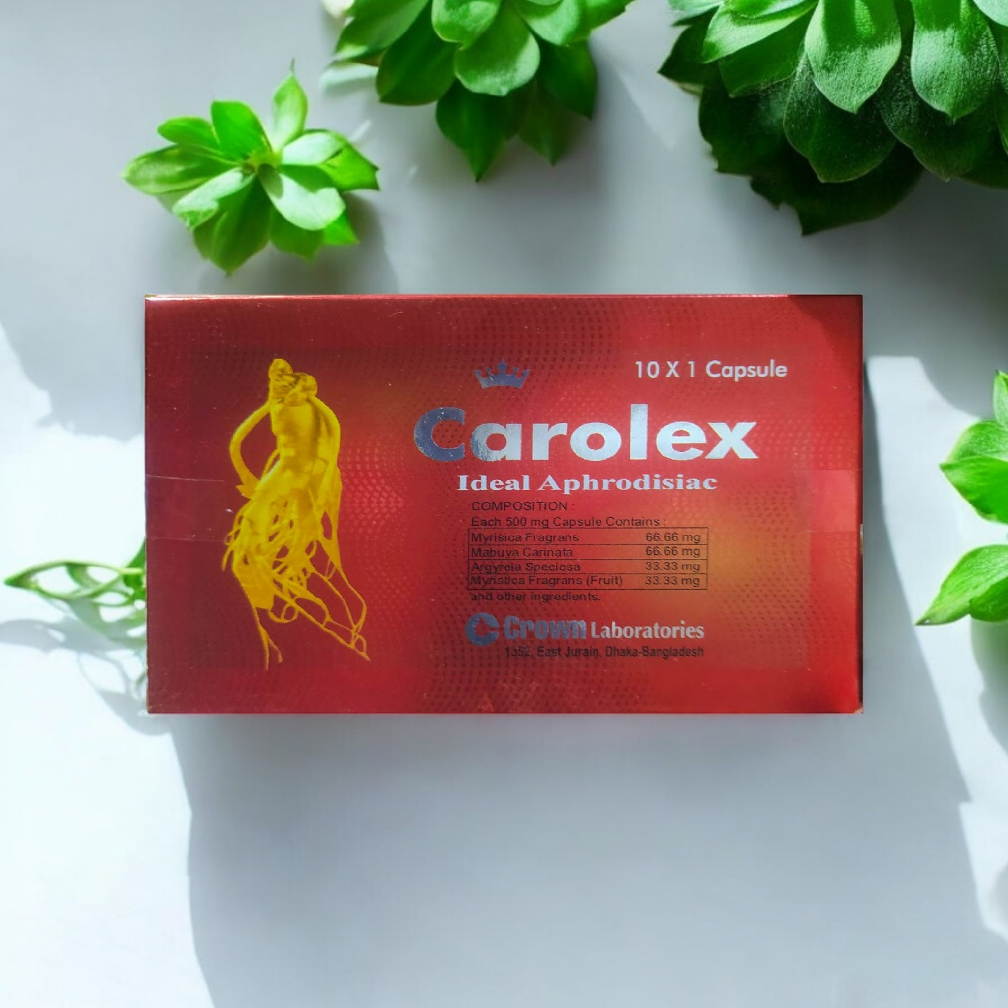 CAROLEX 10* 1=10 PCS FULL BOX