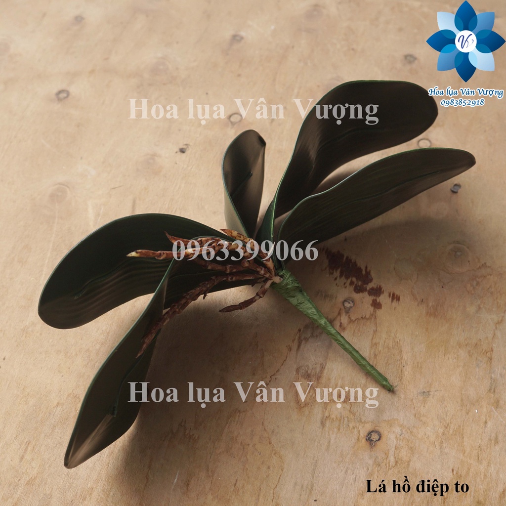 Lá Lan, Lá Hồ Điệp Chất Liệu Cao Su
