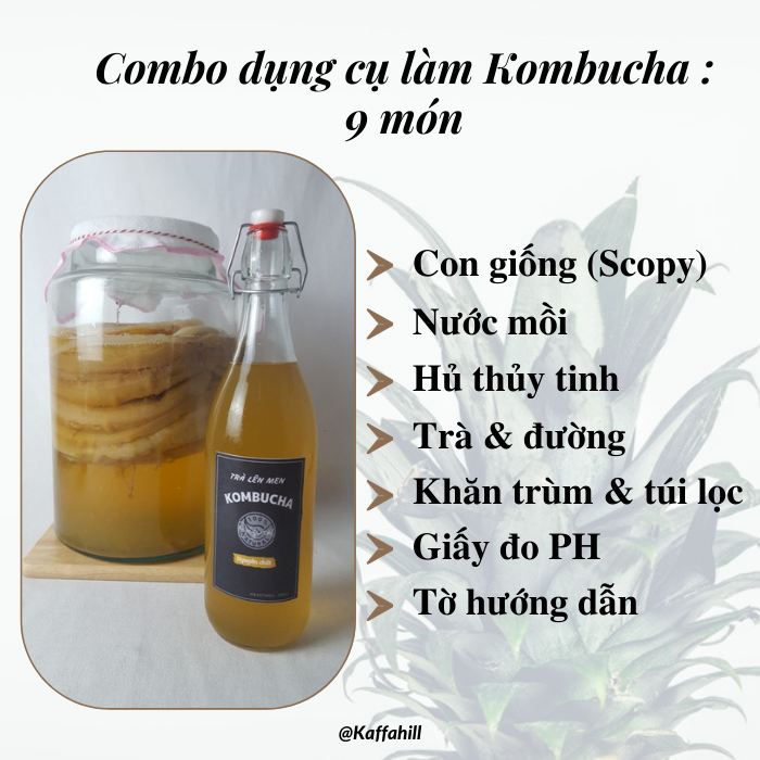 DIY - Tự làm trà Kombucha Trọn bộ & Hướng dẫn làm trà Kombucha tại nhà