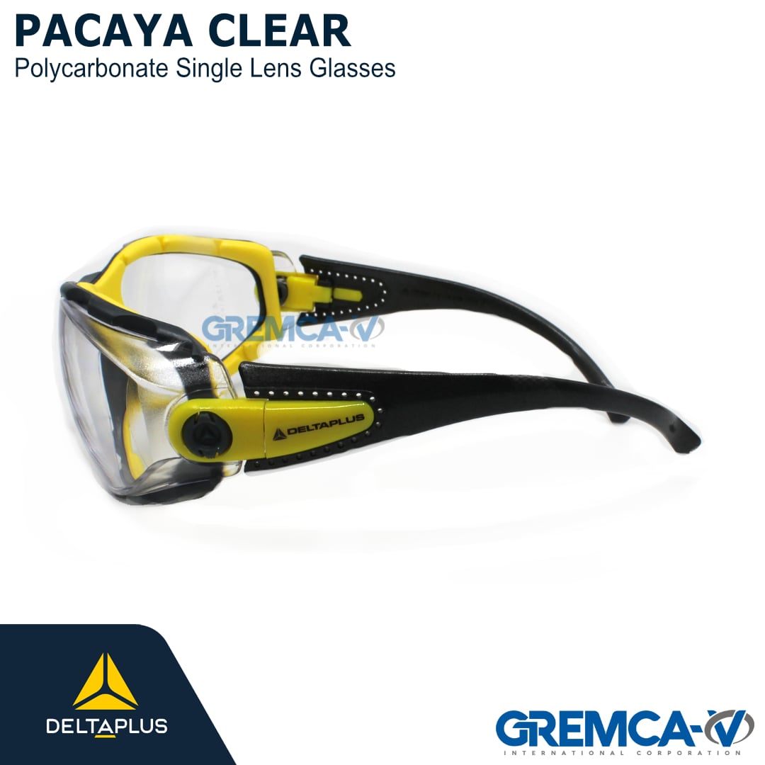 Qty Discounts Glasses Clear Single Lens Delta Plus PACAYA LYVIZ Safety Specs 