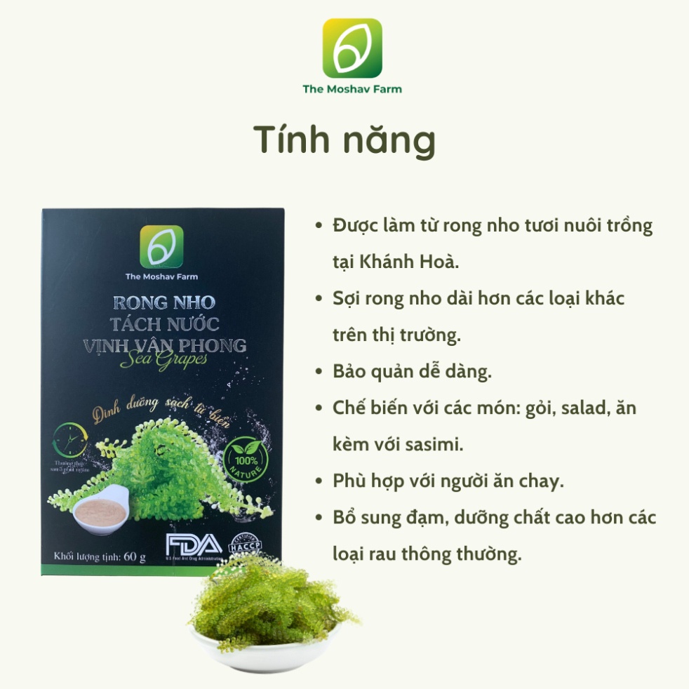 Rong nho tách nước Vịnh Vân Phong