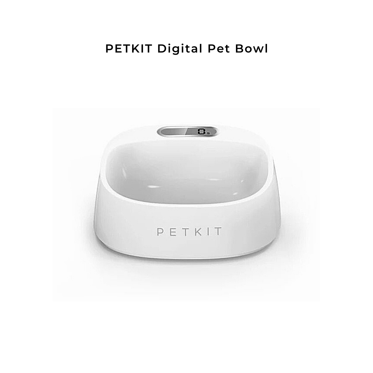 petkit dog bowl