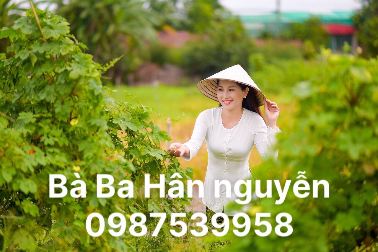 AÓ BÀ BA TRƠN CỔ TRÒN ( ÁO LẺ)