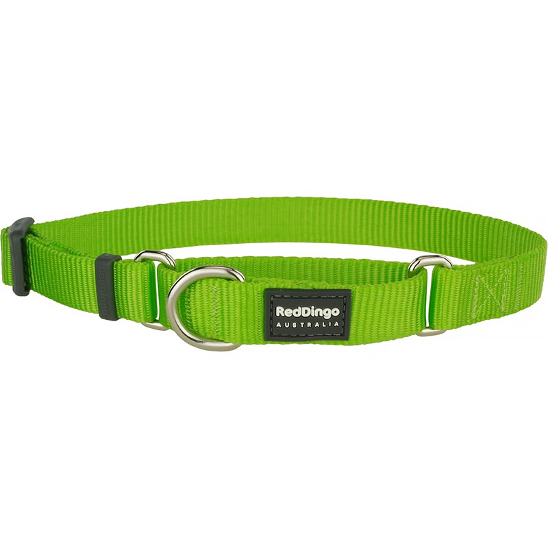 lime green dog collar and leash