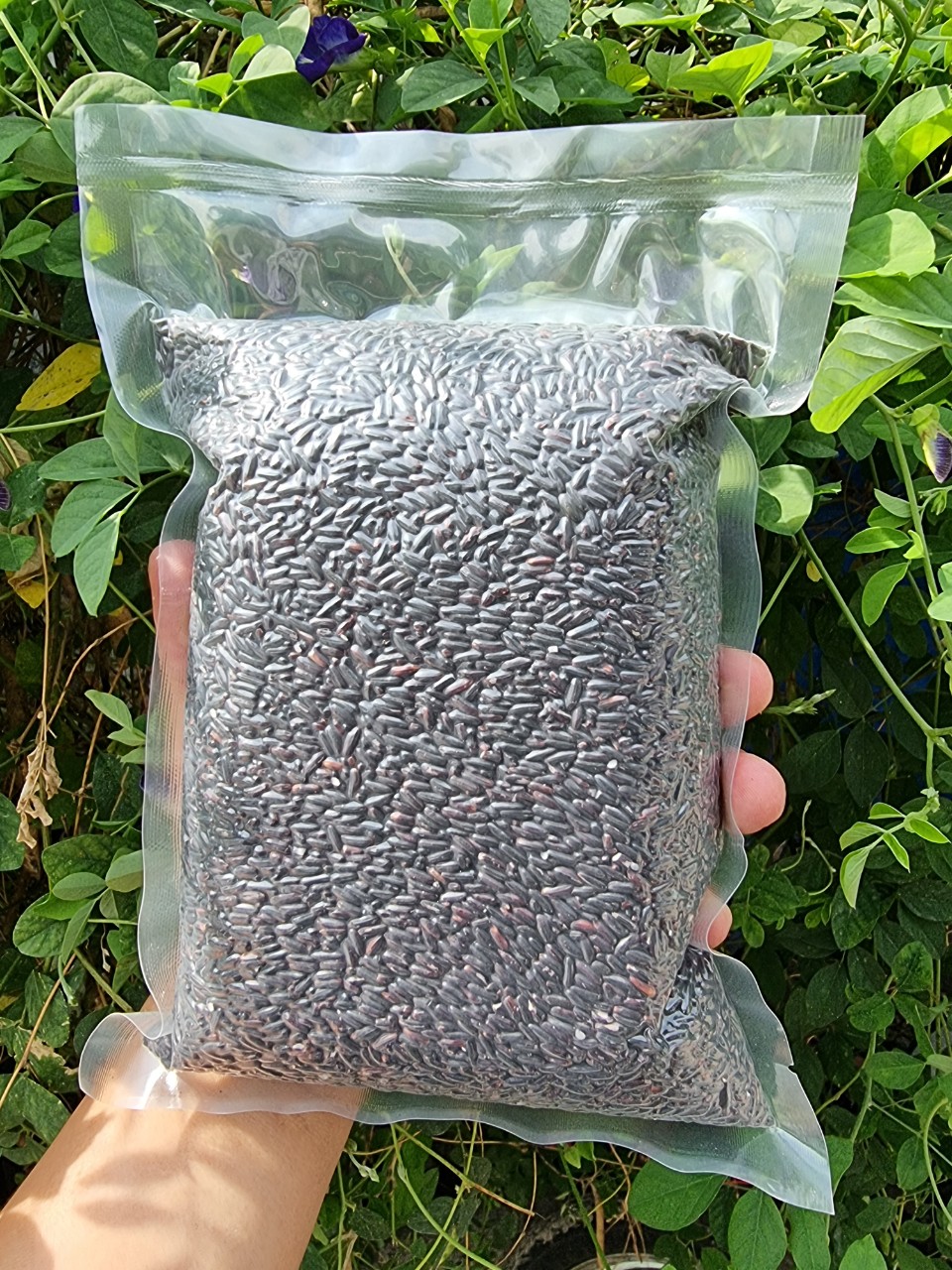 1 KG GẠO LỨT ĐEN VÙNG TÂY BẮC