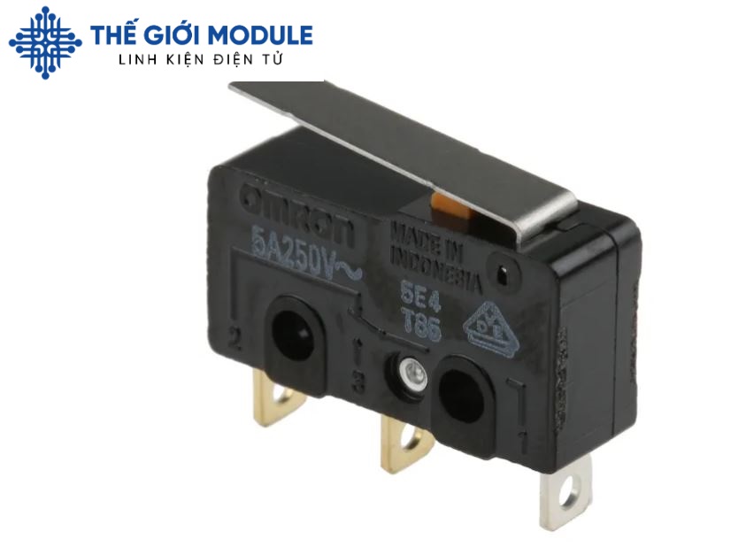 [Có sẵn] [Rẻ vô địch] Công tắc hành trình OMRON SS-5GL - thegioimodule