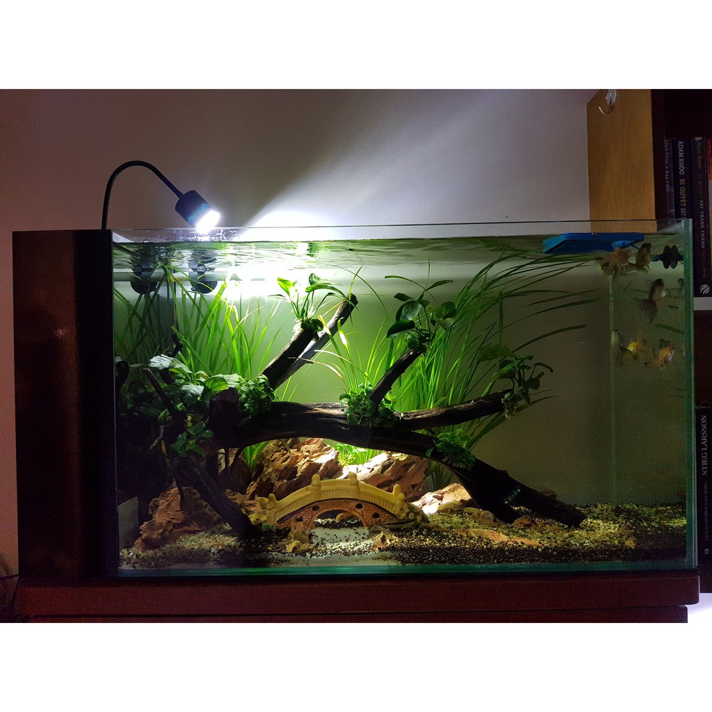 Đèn Led Rọi Thuỷ Sinh Biotop E230 5W