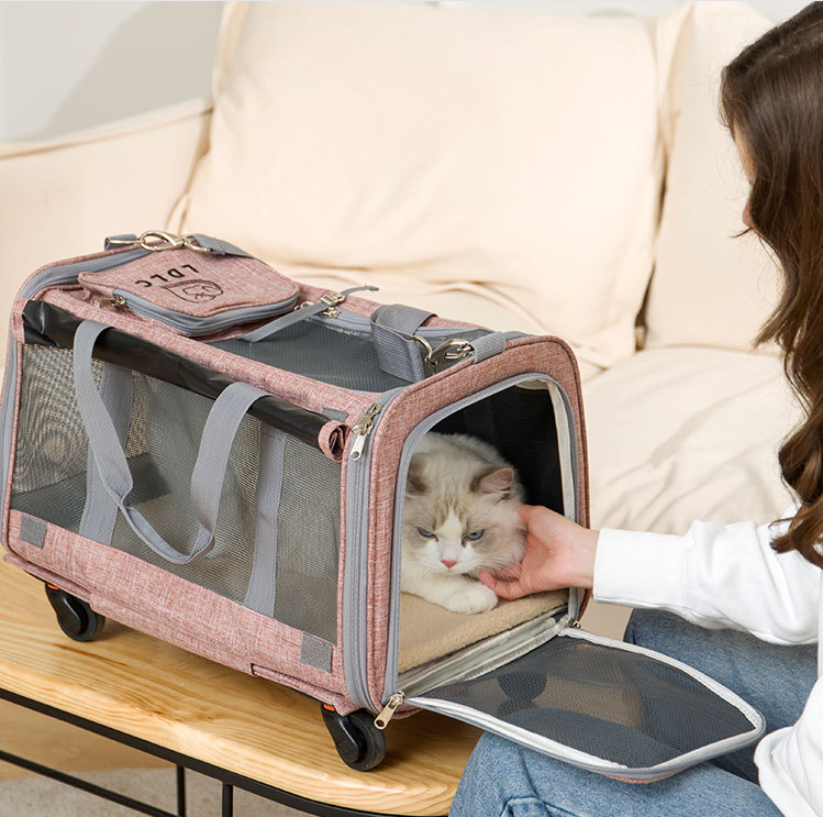 cat carrier too small