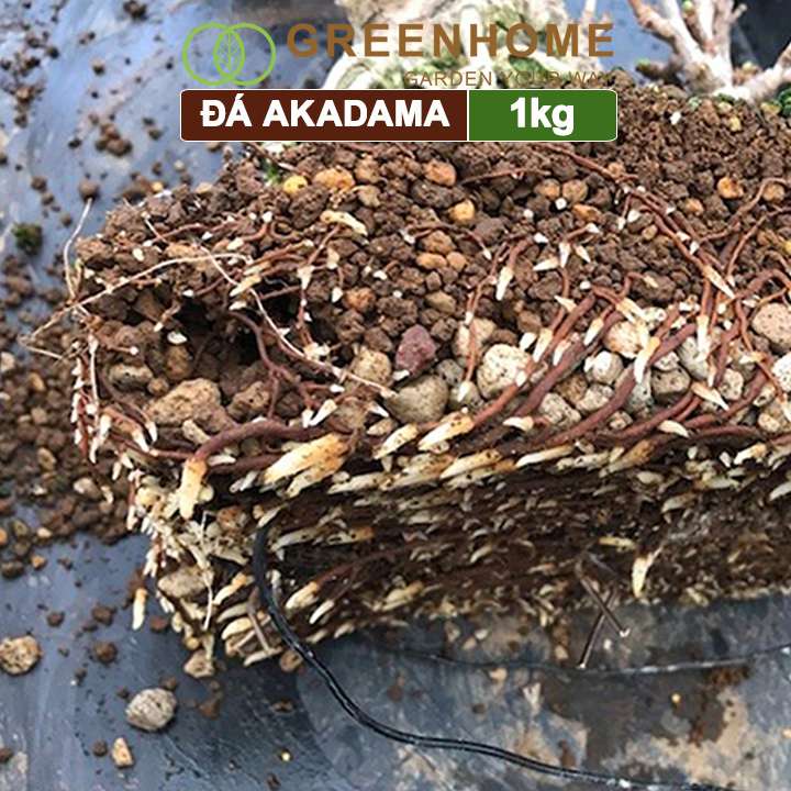 Đá Akadama, bao 1kg, cho thủy sinh, bonsai, sen đá, nhiều kích thước lựa chọn |Greenhome