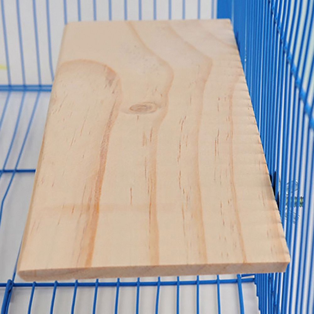 Hamster Cage Perches Materials Reference: Setting Up The Perfect Hamster Cage Guide On Selecting The