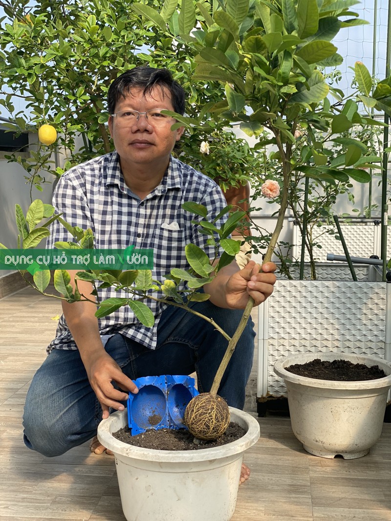 Gourd Gourd Plants Come in Many Sizes to Choose From.
