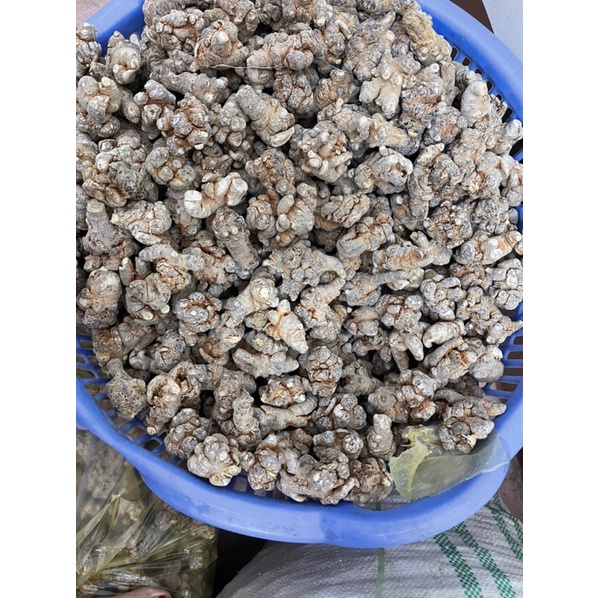 [CHÍNH HÃNG] Củ Tam Thất Bắc Khô ( Size Củ 50 /1kg To Lạc Khô Chuẩn )