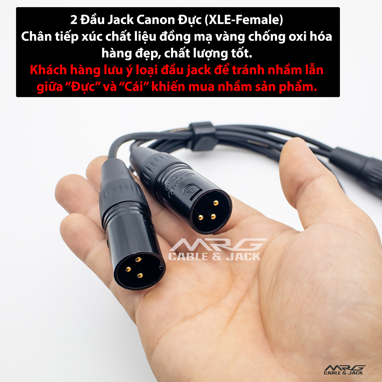 Dây canon cái ra 2 đầu canon đực