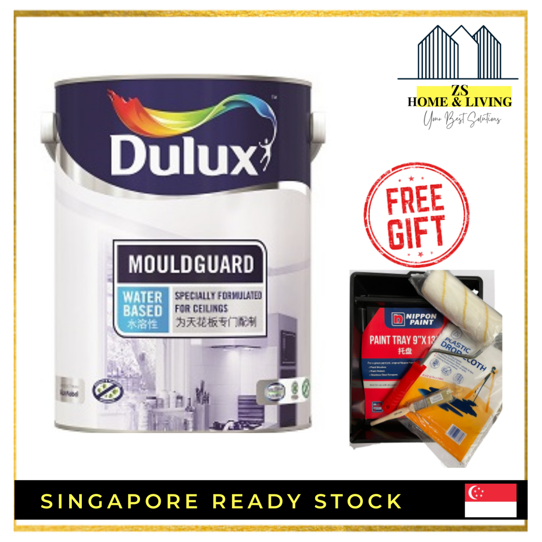 DULUX MOULDGUARD 5L ANTI MOULD PAINT Lazada Singapore
