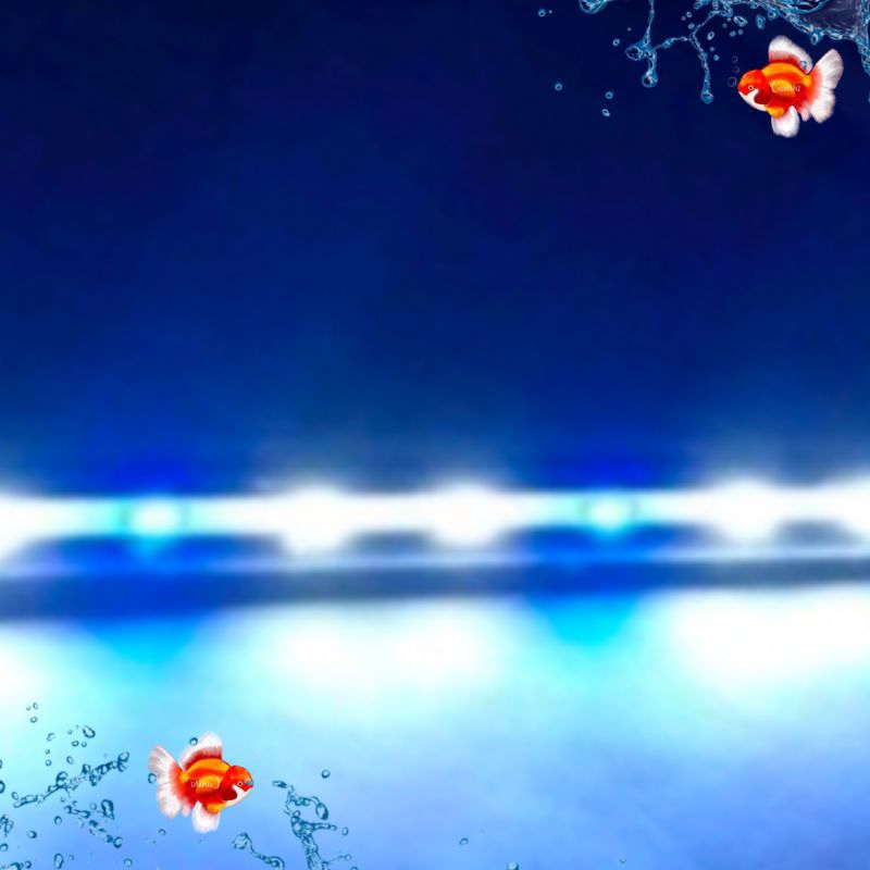 Lampu Led Celup Aquarium Led LUCKINESS D25