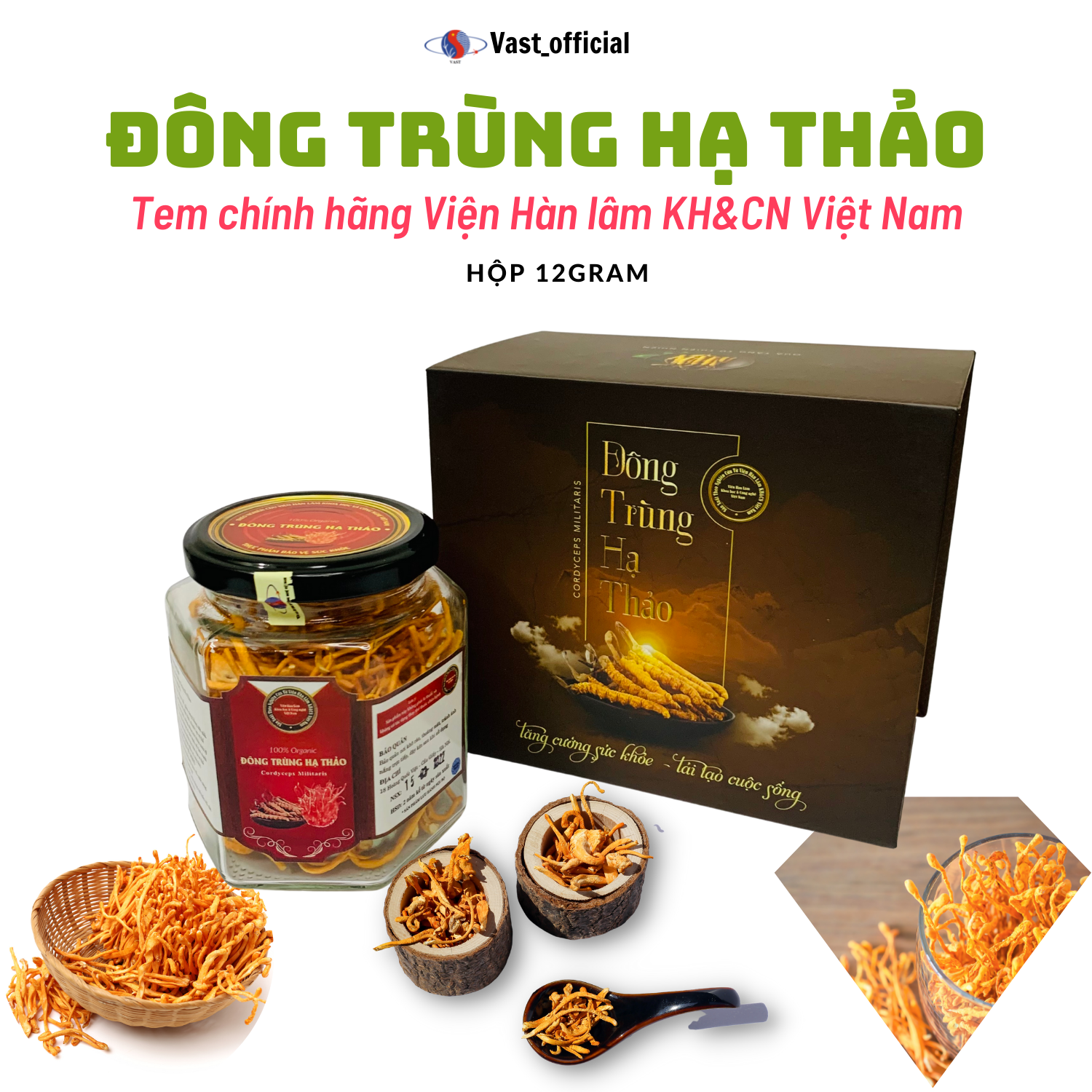 Đông trùng hạ thảo tươi, nguyên con, khô sấy thăng hoa Viện Hàn lâm KH&CN Việt Nam Vast_official