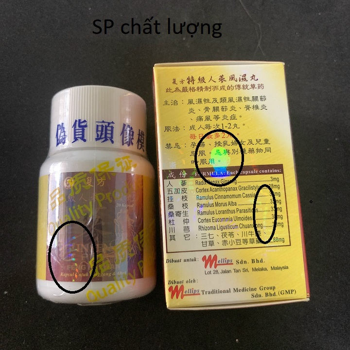 NHÂN SÂM PHONG THẤP - ĐẶC CẤP (GINSENG PLUS FENG SHI WAN) – HỖ TRỢ XƯƠNG KHỚP
