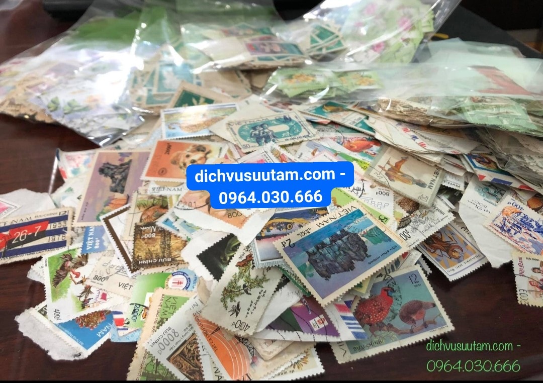 Combo 20 con tem Việt Nam khác nhau sưu tầm