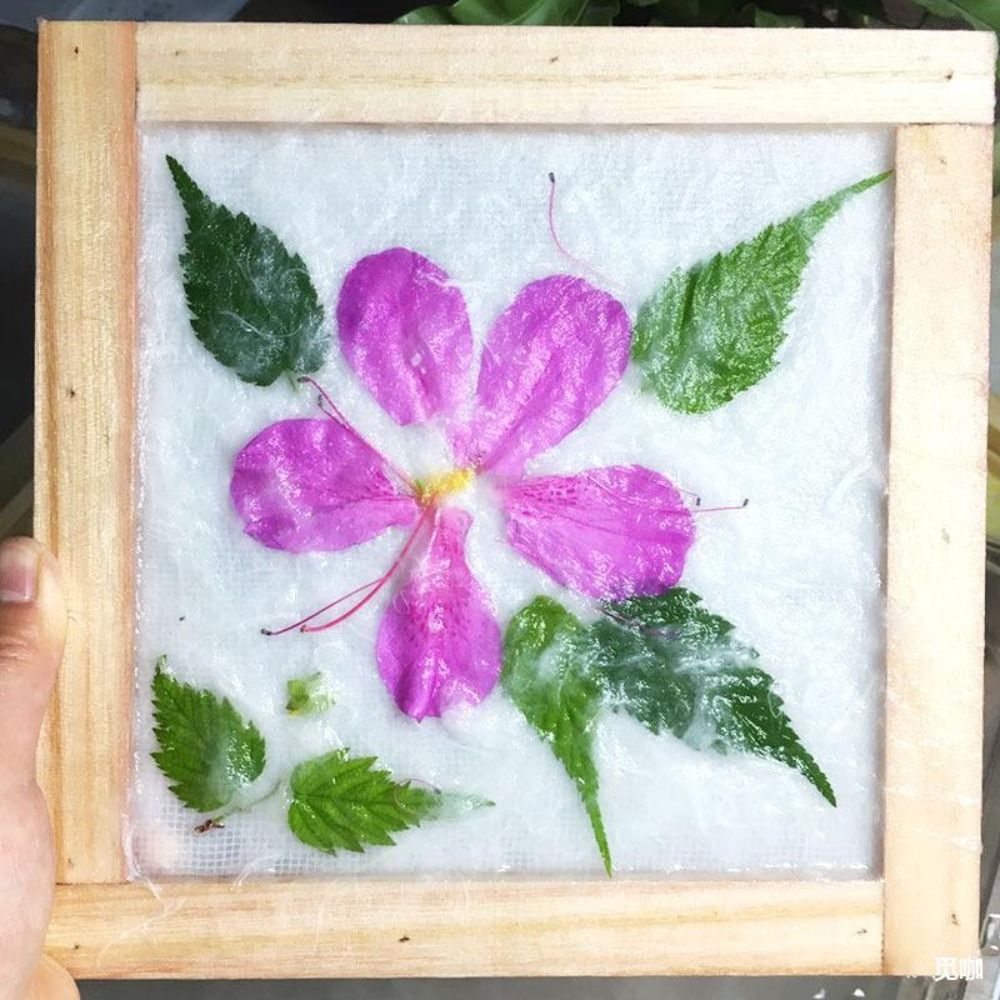 【ZOSR】 White Paper Pulp Dehydrated Chinese Craftsmanship Paper Making Raw Materials Ancient 100/500/1000G Wood Pulp Papermaking. 