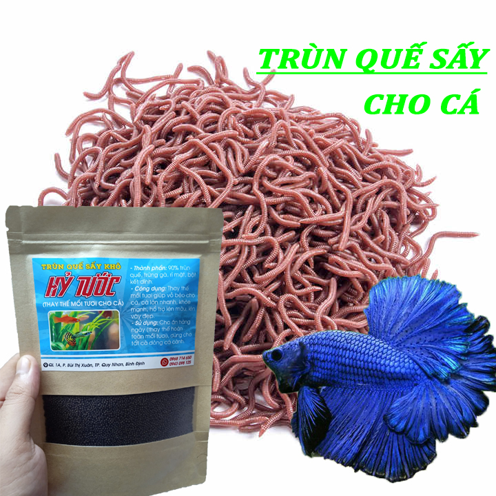 Hạt trùn quế sấy_Thay thế mồi tươi cho cá cảnh